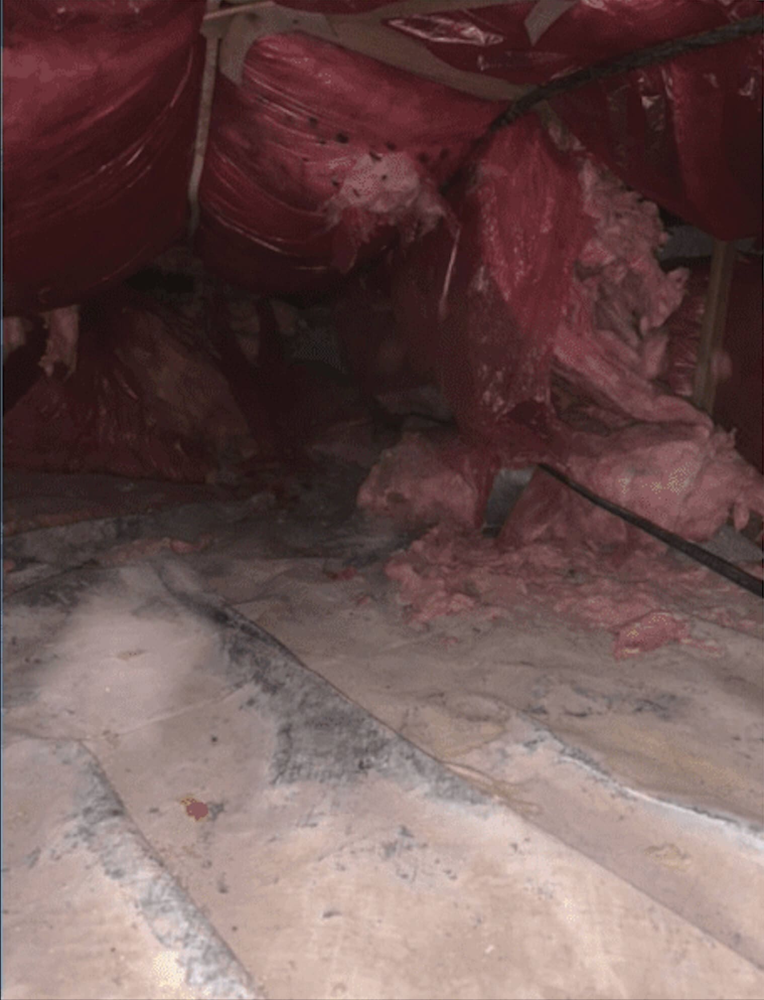 Crawlspace Encapsulation Before